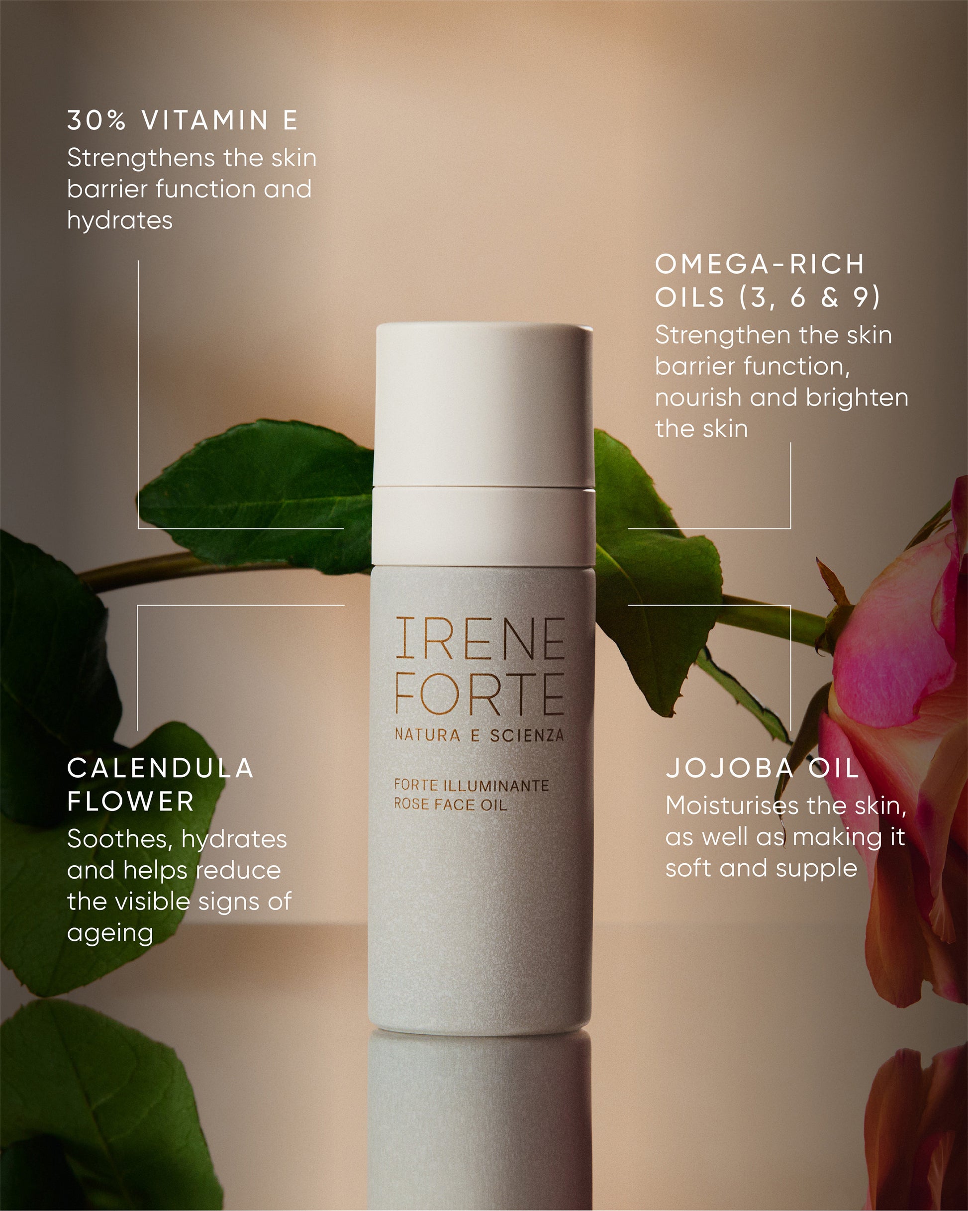 Rose Face Oil