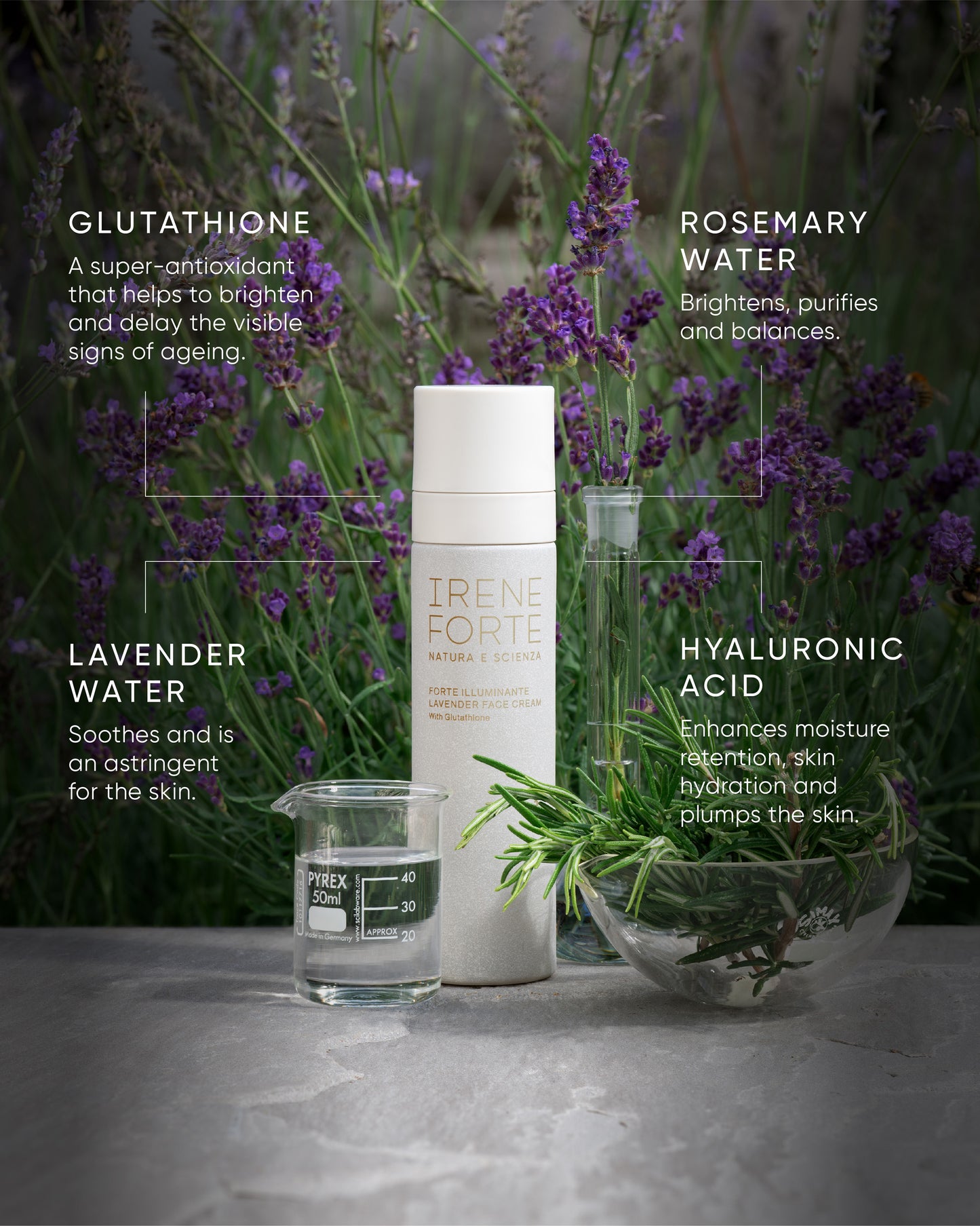 Lavender Face Cream