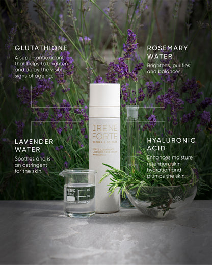 Lavender Face Cream