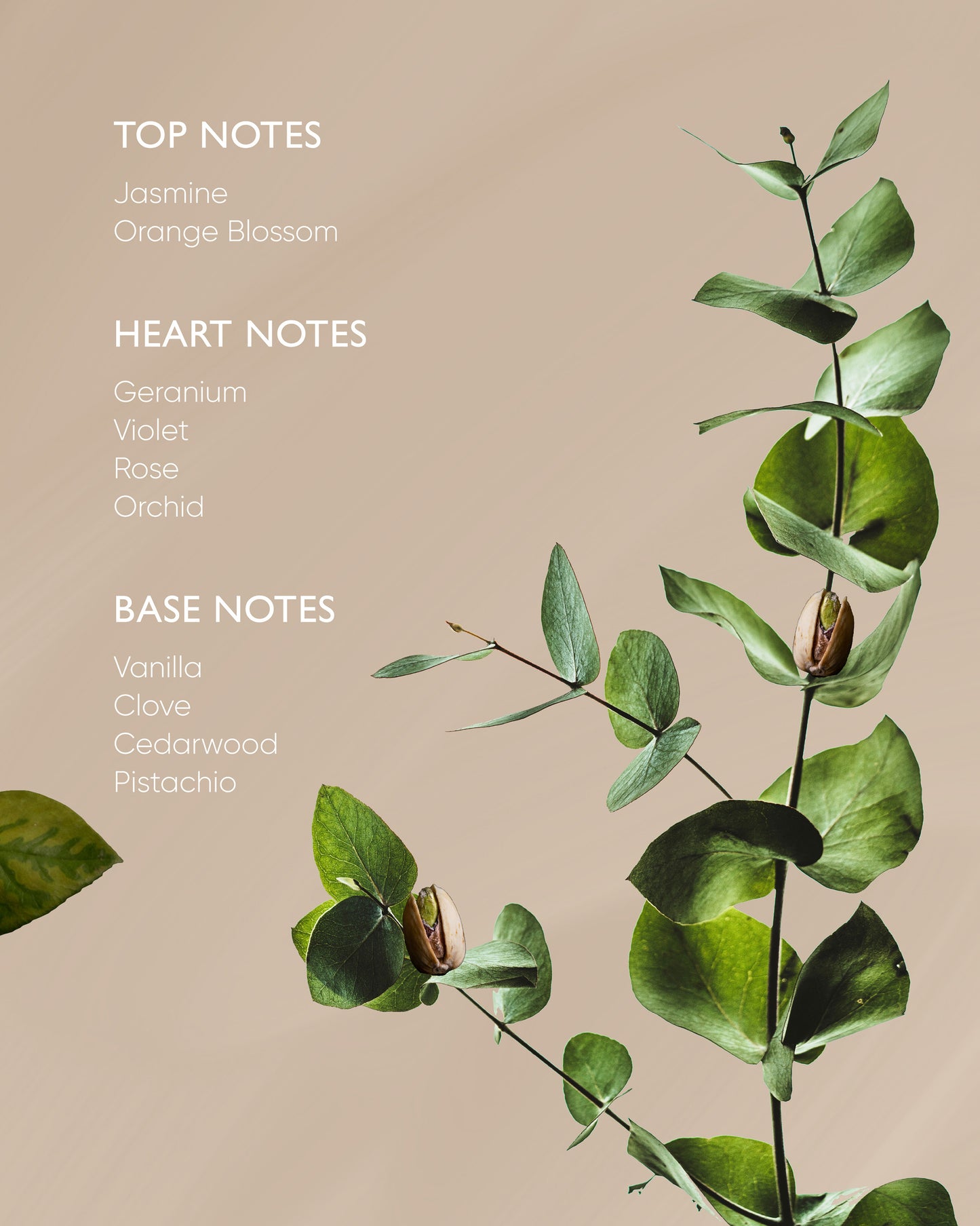 Pistachio Body Oil