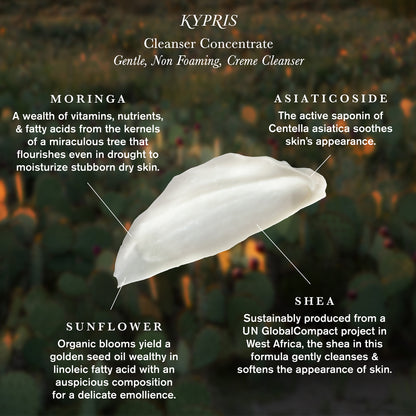 Cleanser Concentrate