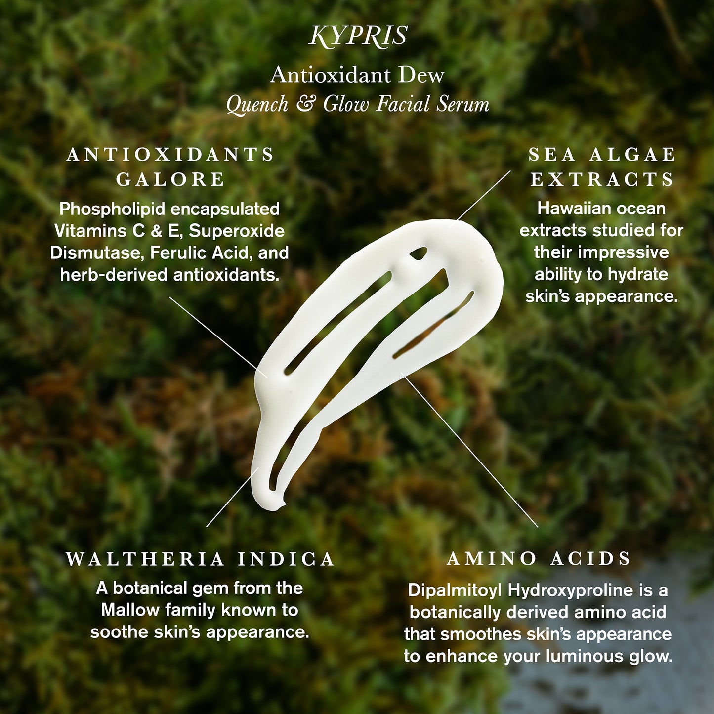 Antioxidant Dew Quench & Glow Serum