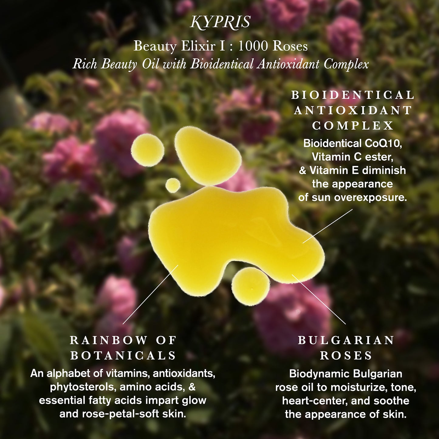 Beauty Elixir I - 1000 Roses Rich Beauty Oil