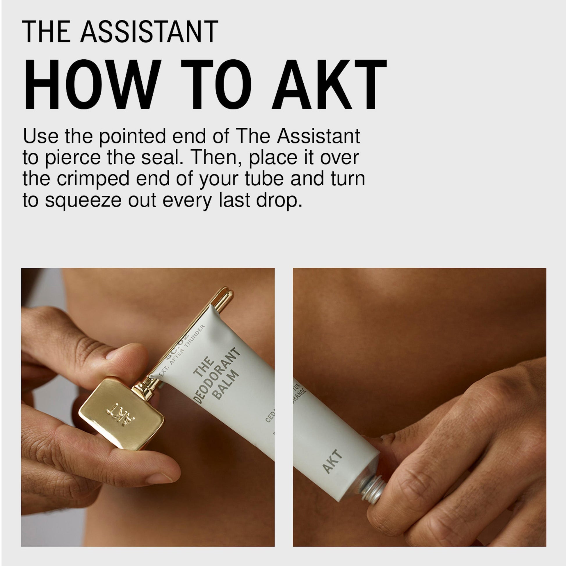 The Assistant