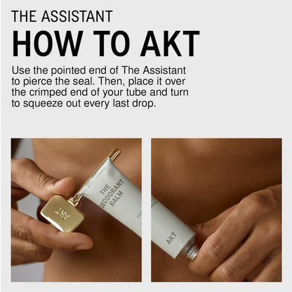 The Assistant