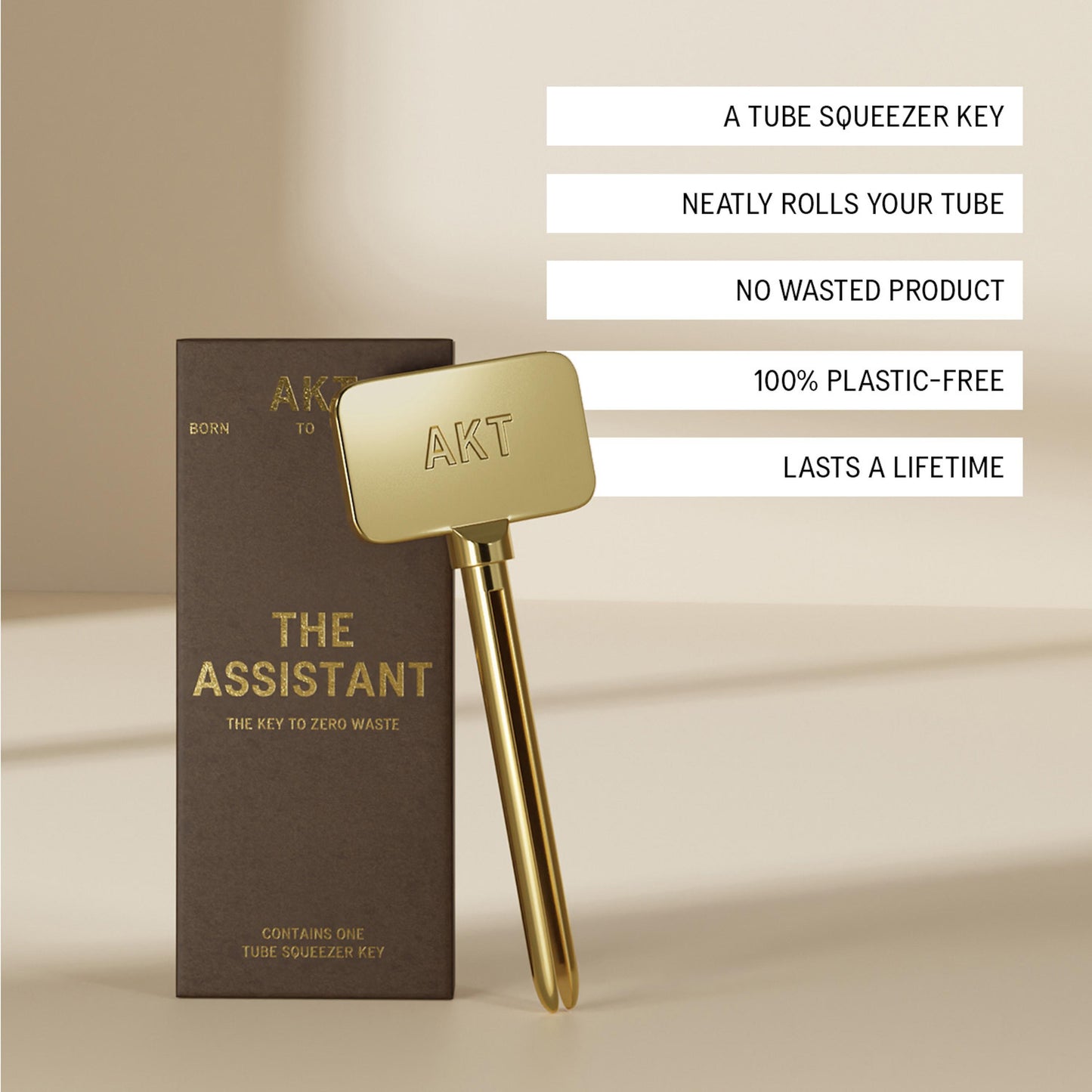 The Assistant