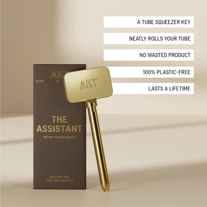 The Assistant