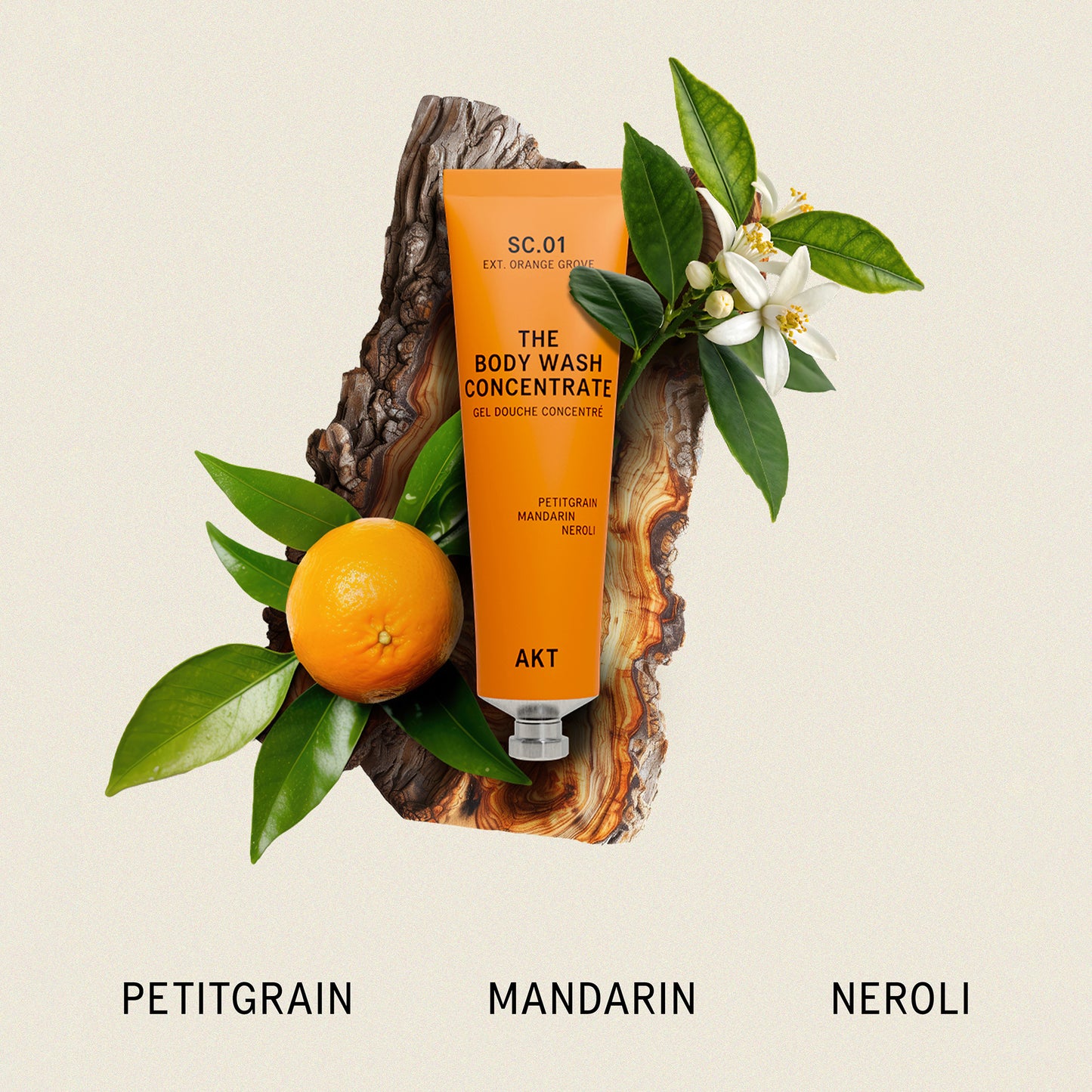 Body Wash Concentrate - Sc. 01 Orange