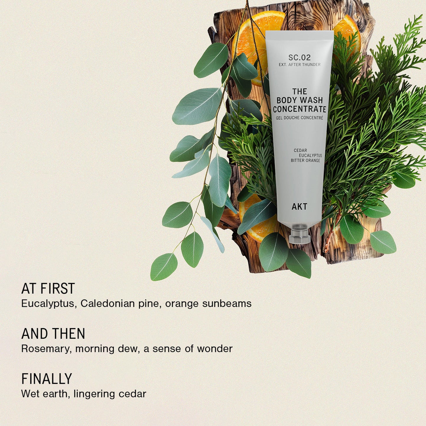 Body Wash Concentrate Sc. 02 After Thunder