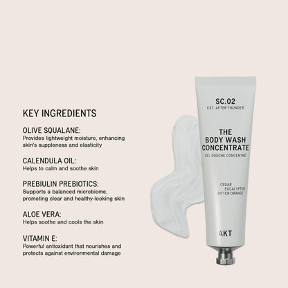 Body Wash Concentrate Sc. 02 After Thunder