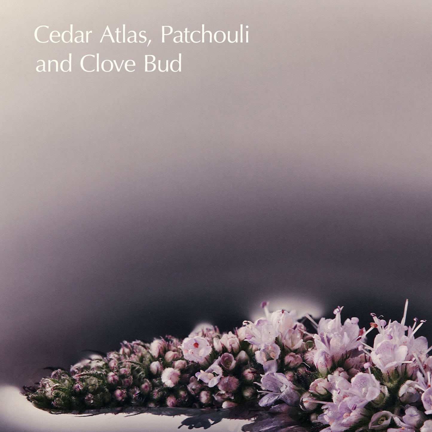 Eleos Nourishing Body Cleanser