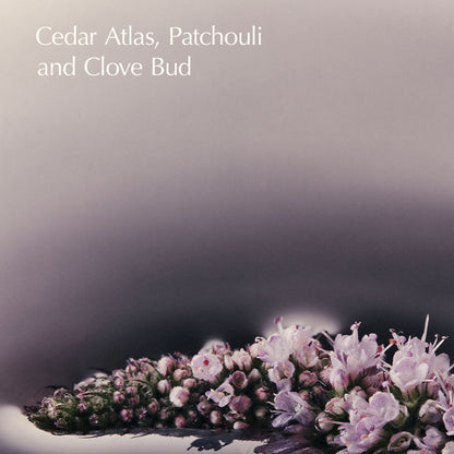 Eleos Nourishing Body Cleanser