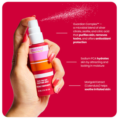 Face The Day Purifying Mist