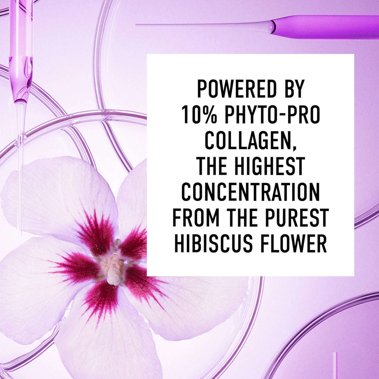 Ageless 10% Phyto Procollagen Firming Sleeping Mask