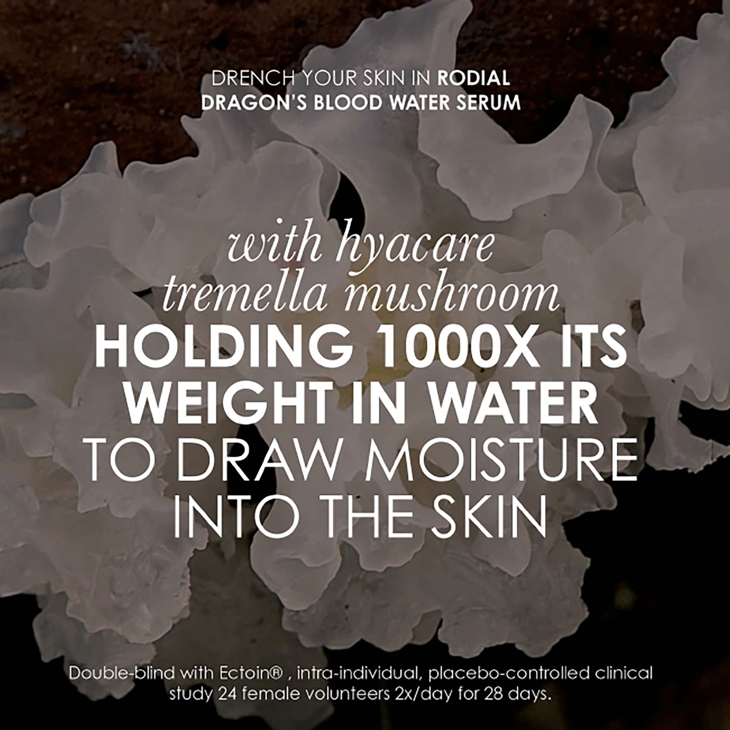 Dragons Blood Water Serum