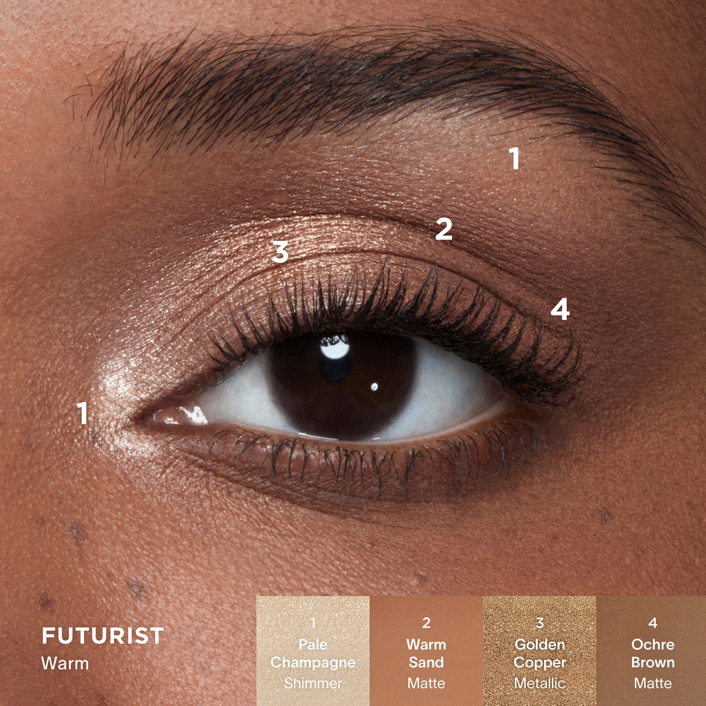 Curator Eyeshadow