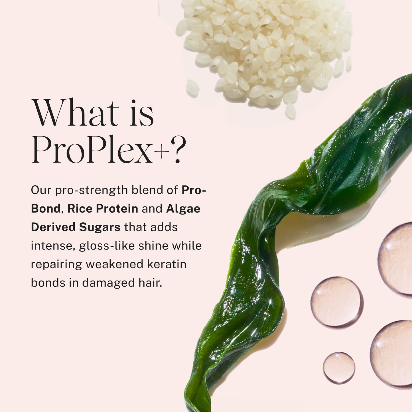 Revive Rapid Repair Bond Gloss