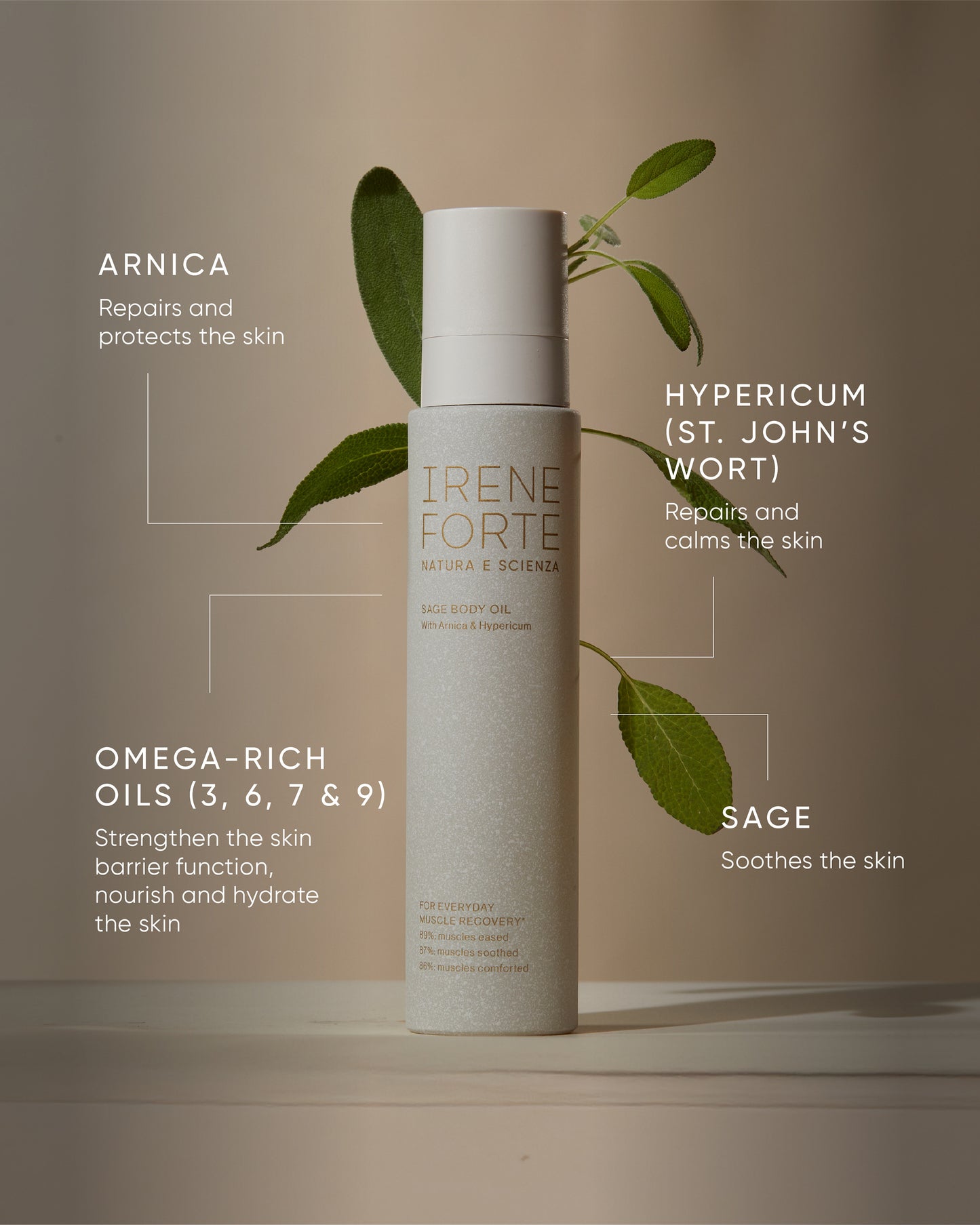 Sage Body Oil