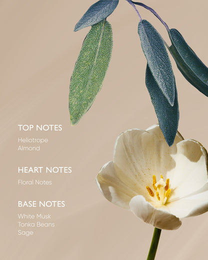 Sage Body Oil