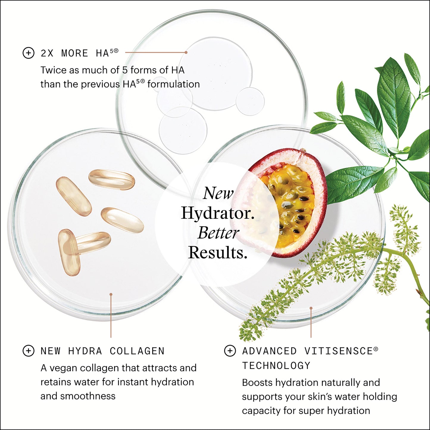 Ha5 Hydra Collagen