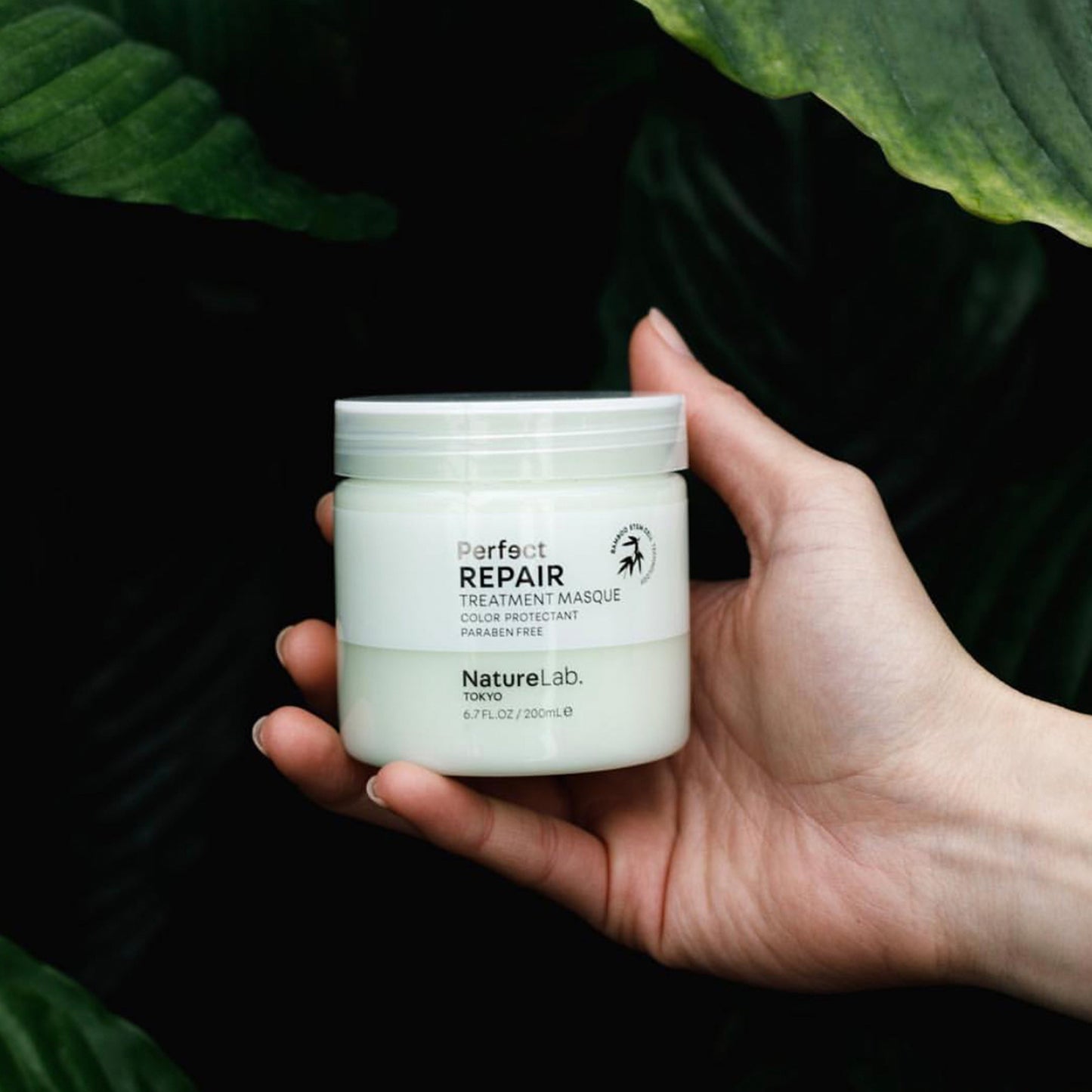 Perfect Repair Treatment Masque