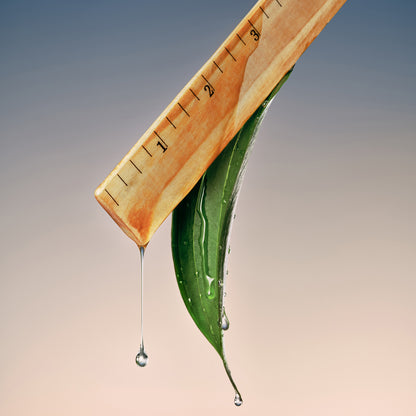 Saisei Biomimetic Peptide Treatment Essence