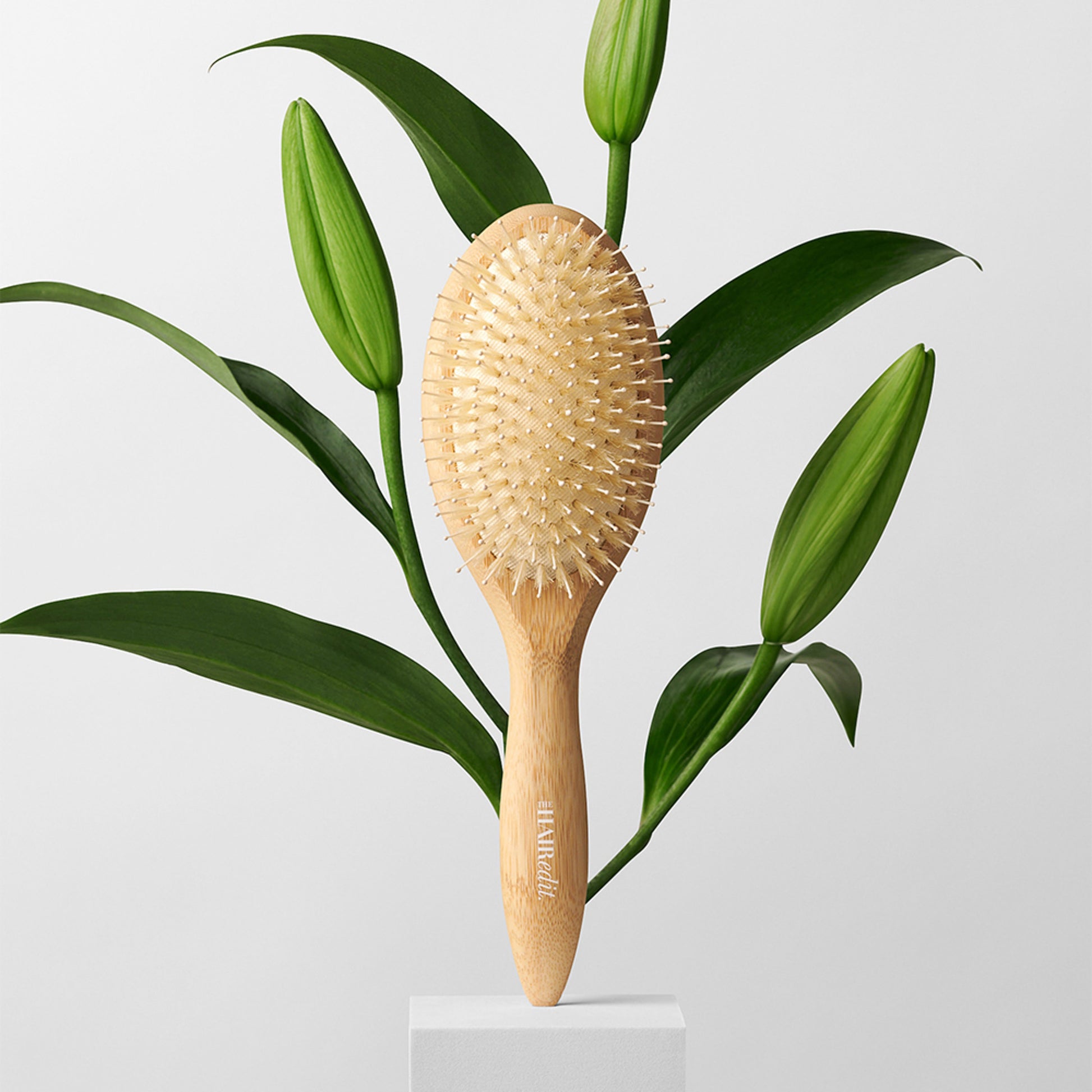 Glossifier Boar Bristle Brush
