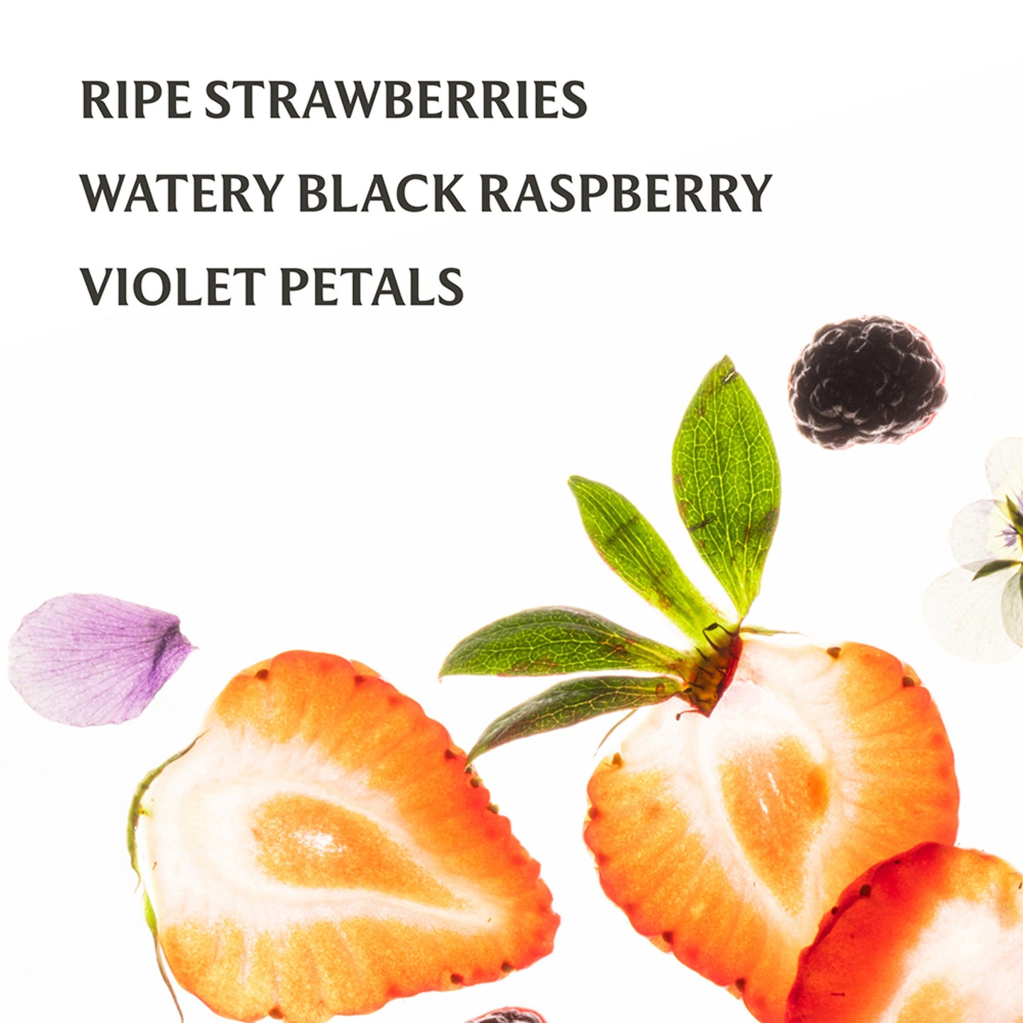 Berry Bliss Power Mist Hydrating Hand Sanitizer