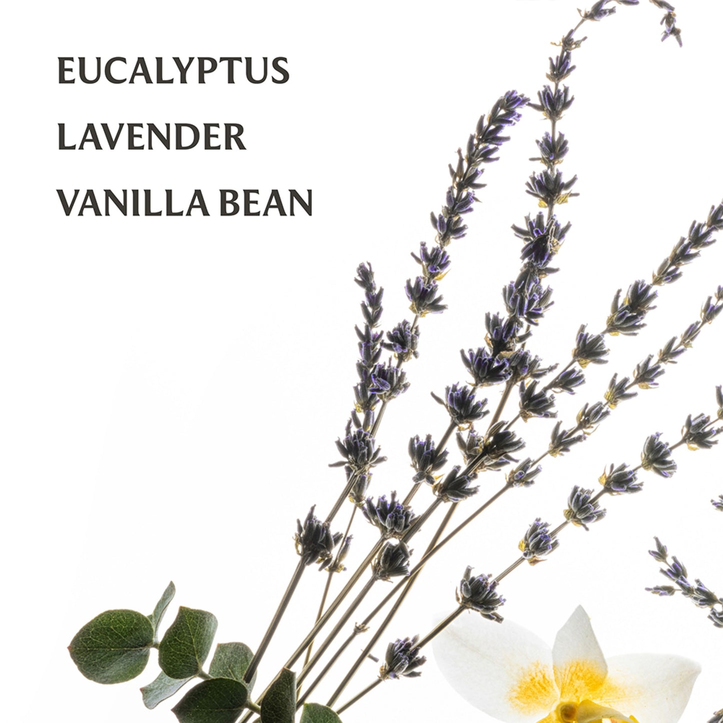 Pure Lavender Power Mist Hydrating Hand Sanitizer