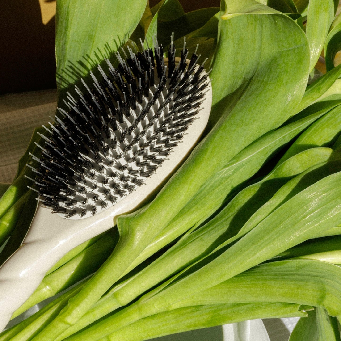 Large Brush N.02 The Care & Detangling HairBrush
