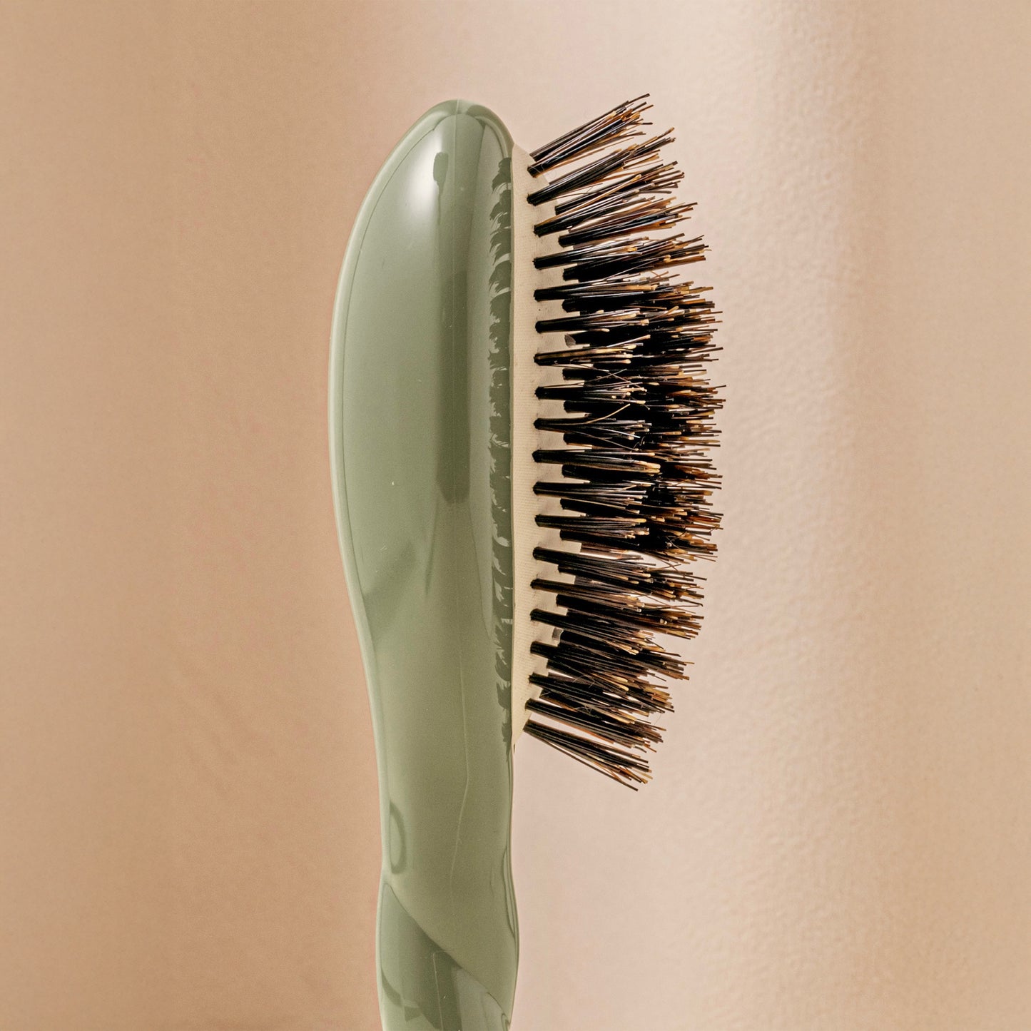 Small Brush N.01 The Small Shine & Care HairBrush