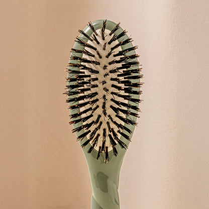 Small Brush N.01 The Small Shine & Care HairBrush