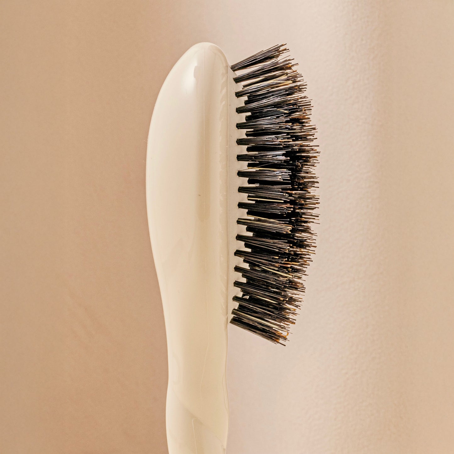 Small Brush N.01 The Small Shine & Care HairBrush