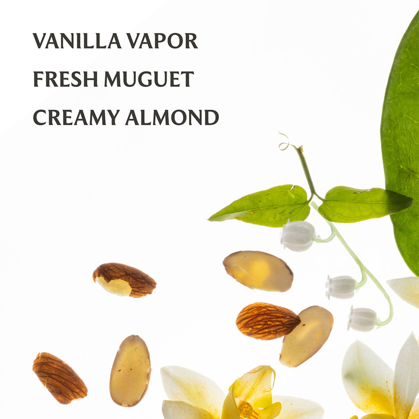 Vanilla Velvet Power Essence Body And Hair Mist