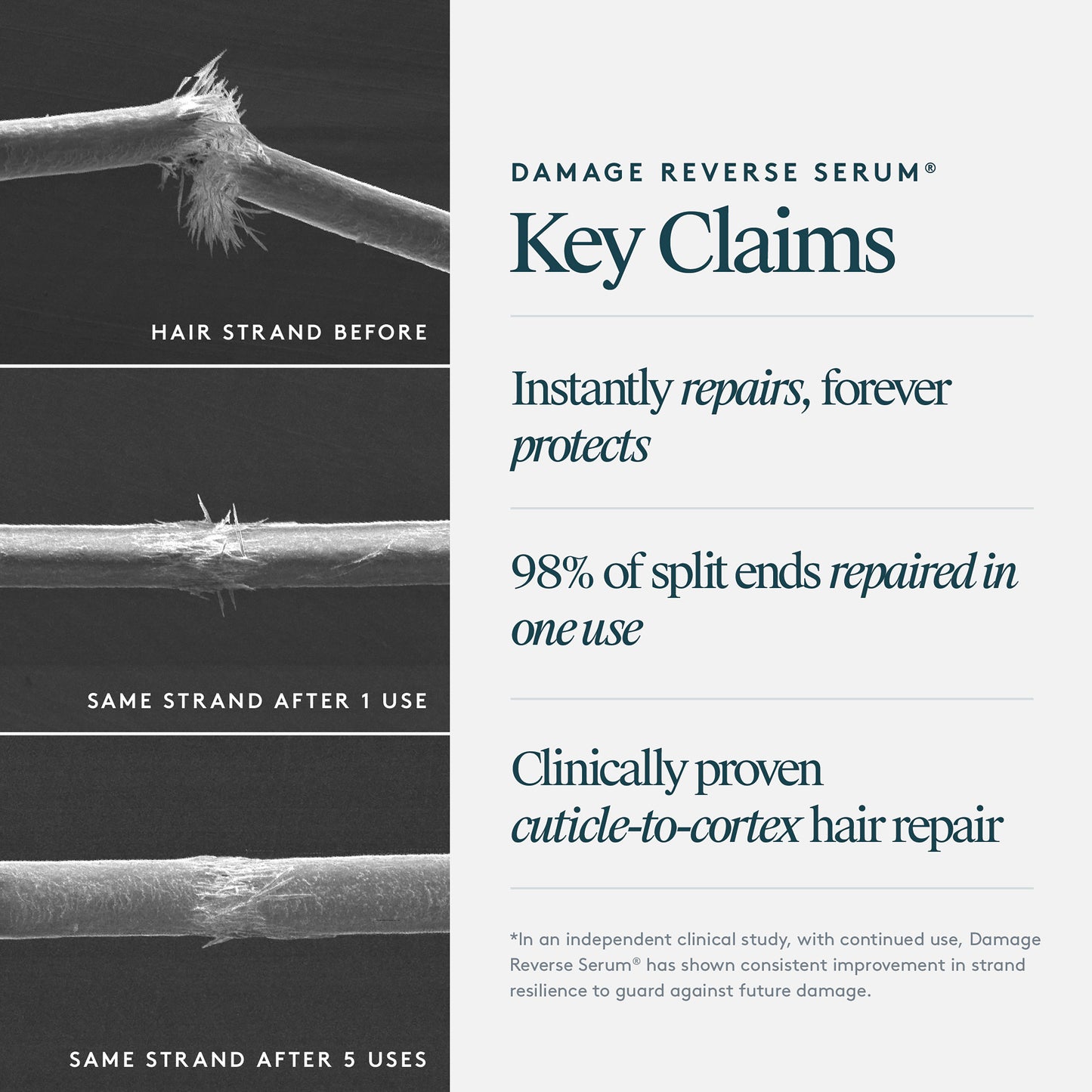 Travel Damage Reverse Serum