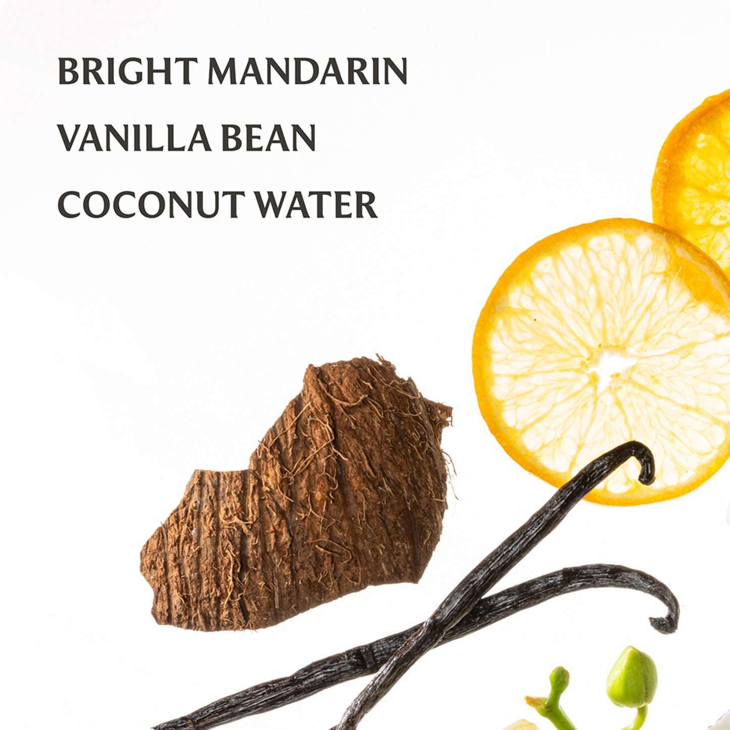 Vanilla Blossom Power Mist Hydrating Hand Sanitizer