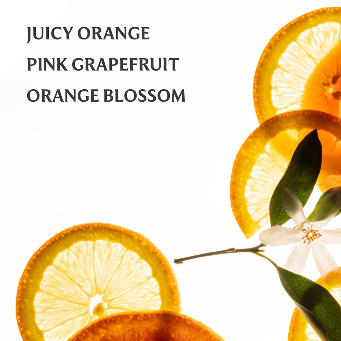 Citrus Grove Power Mist Hydrating Hand Sanitizer