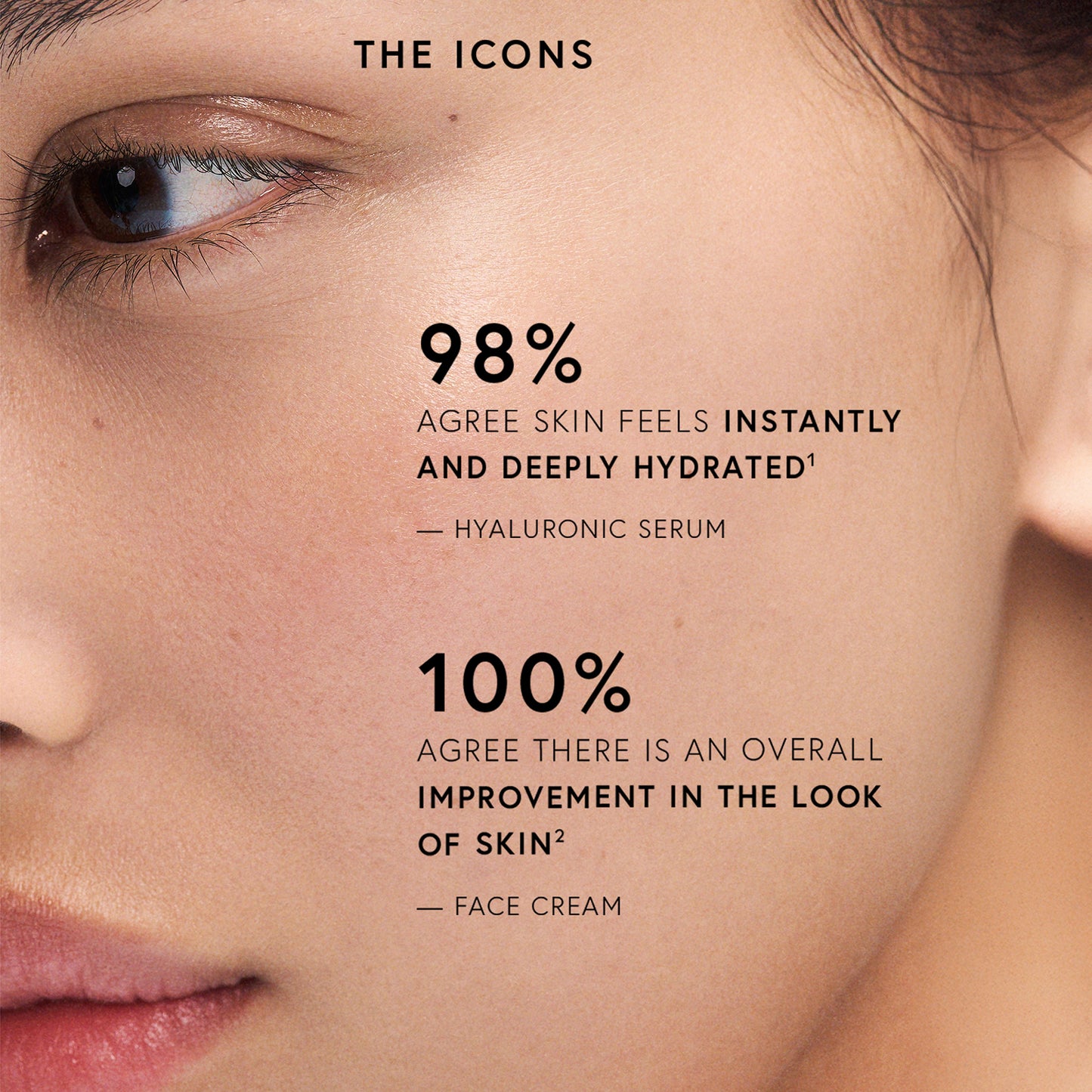 The Icons Set