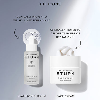 The Icons Set