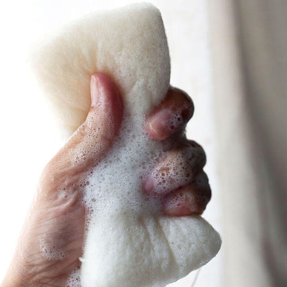 Hair + Body Cleanse with Body Sponge