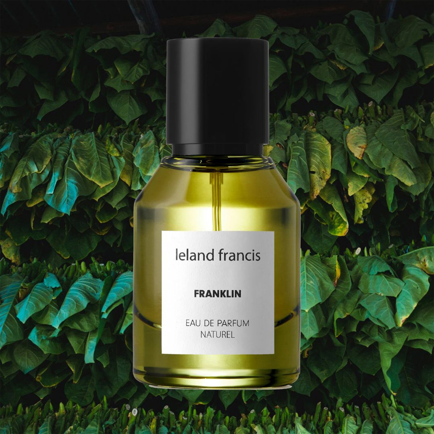 Franklin Eau De Parfum