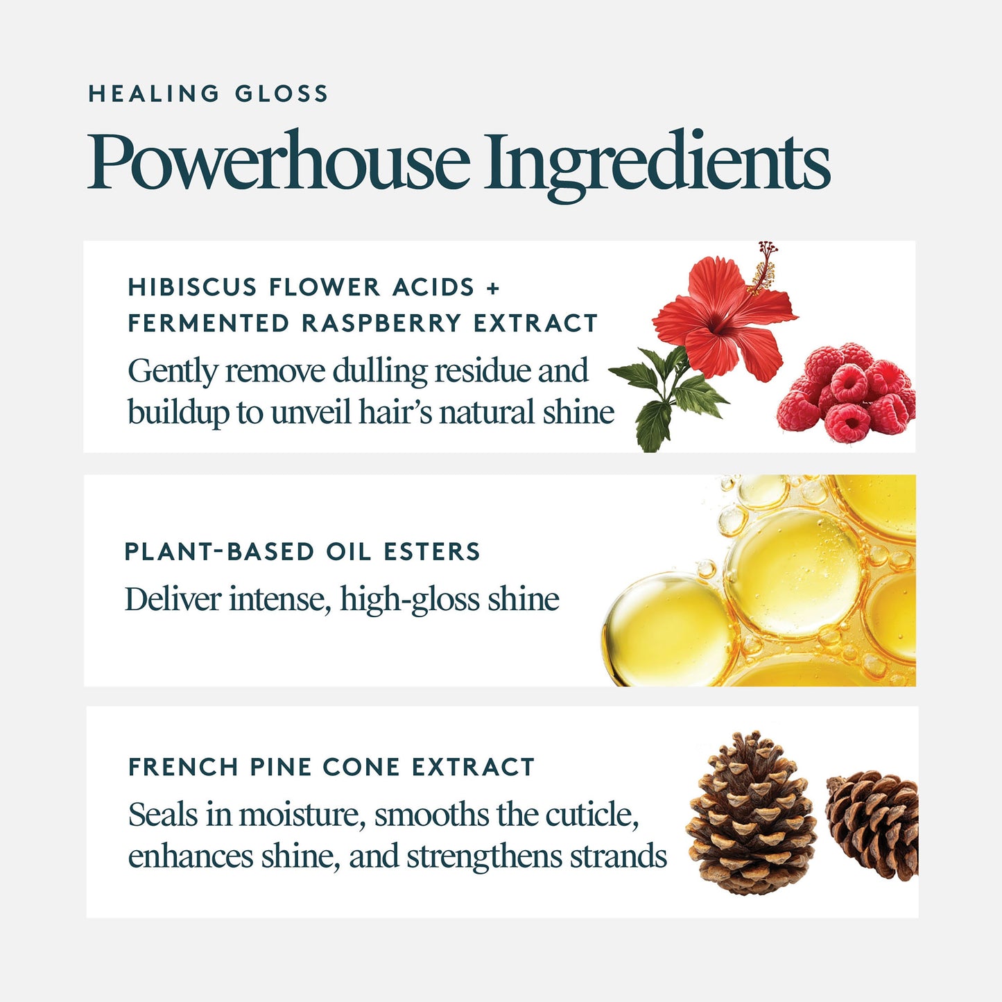 Healing Gloss
