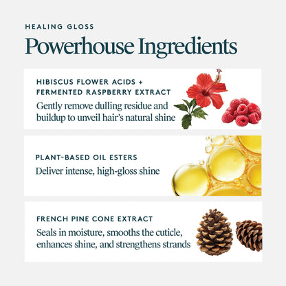 Healing Gloss