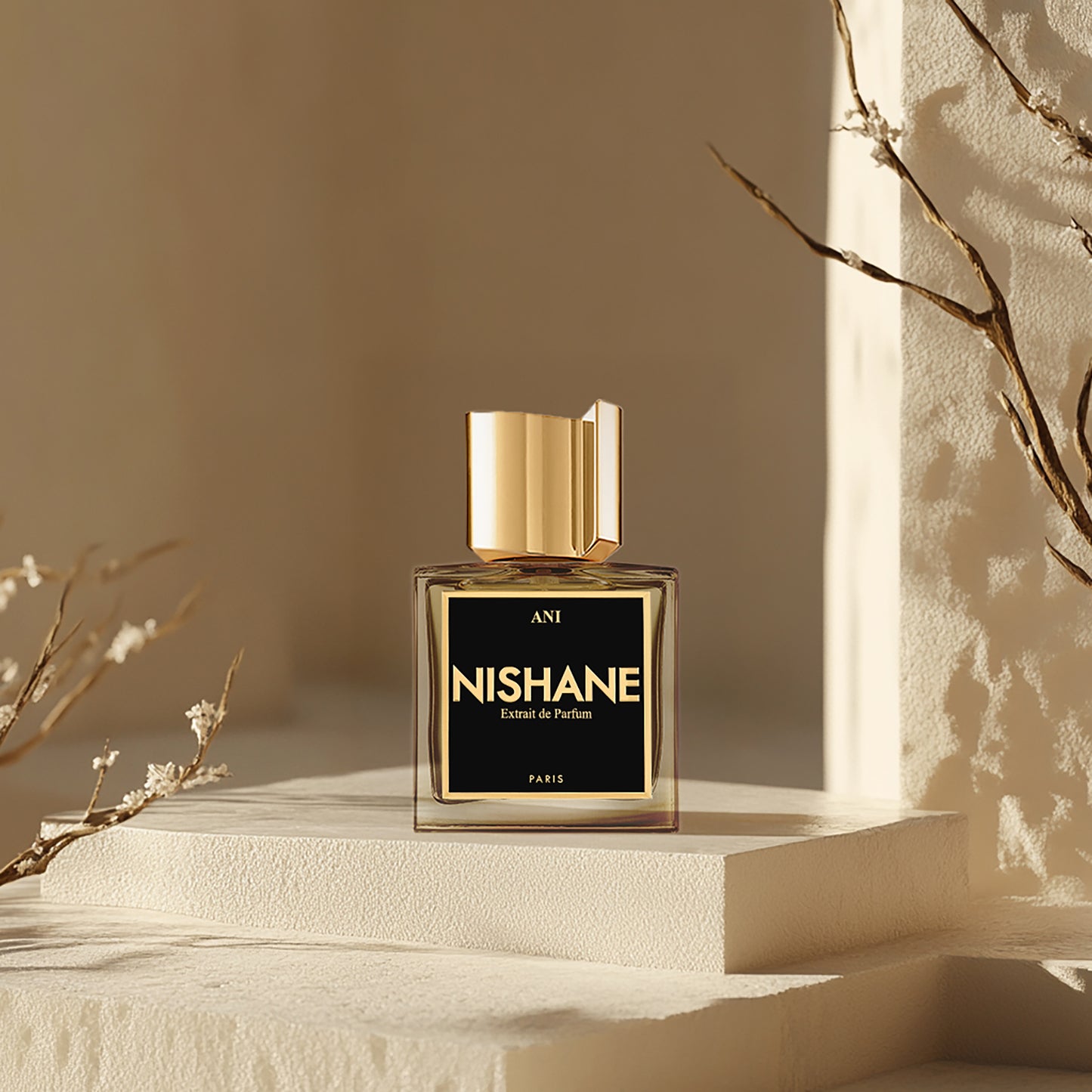 Ani Extrait de Parfum