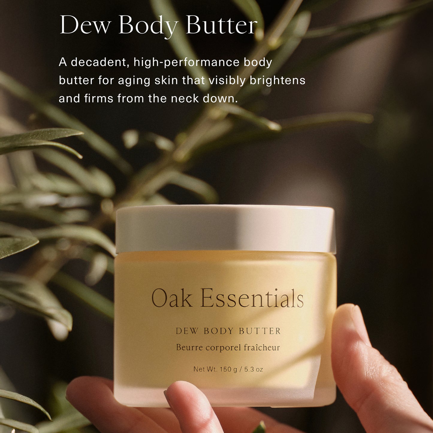 Dew Body Butter
