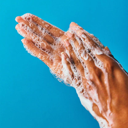 Wild Garden Hand Wash