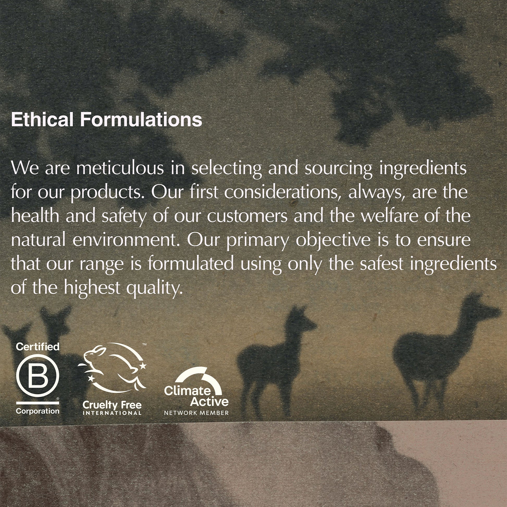 Resolute Facial Concentrate