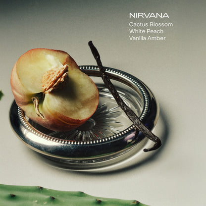 The Hand Serum - Nirvana