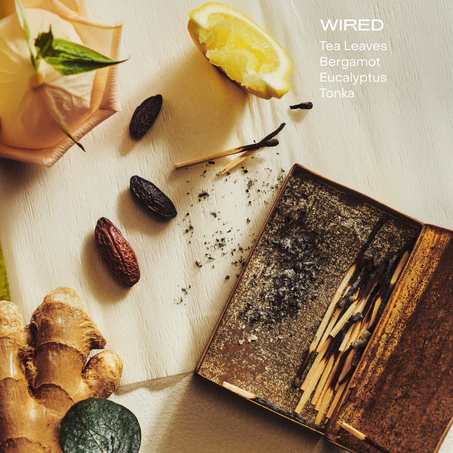 The Hand Serum - Wired