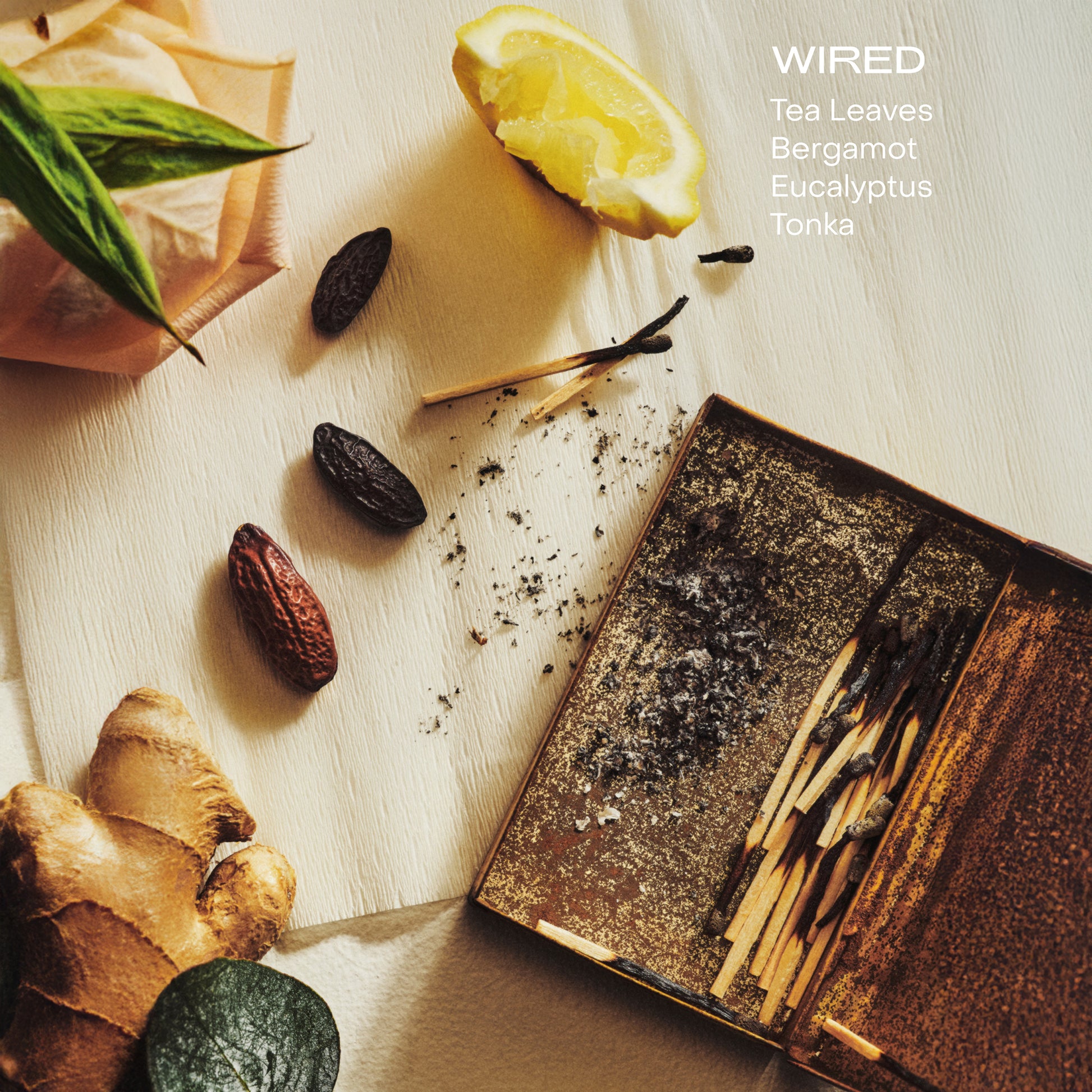 The Body Exfoliant - Wired
